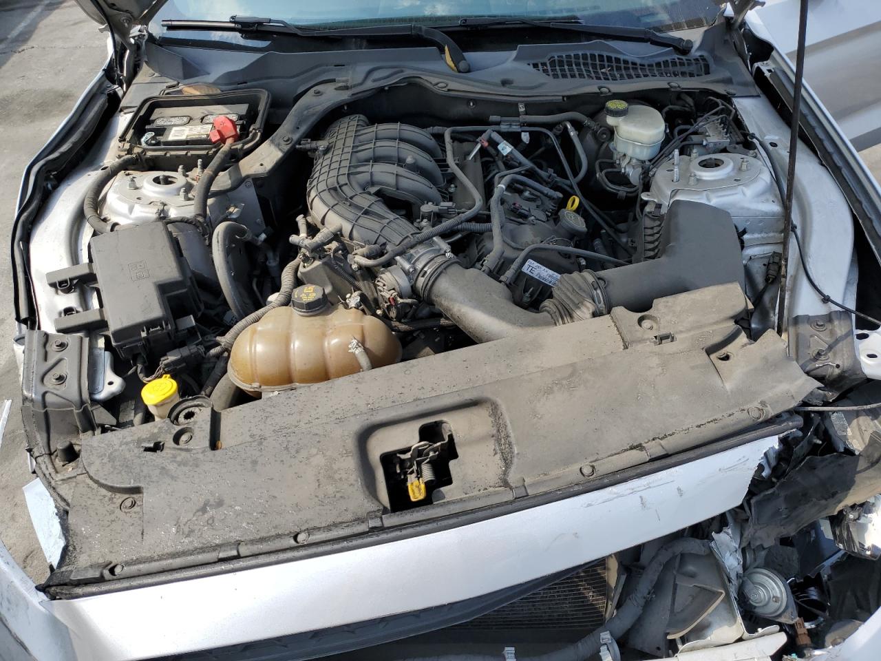 1FA6P8AM3F5319111 2015 Ford Mustang