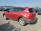 TOYOTA RAV4 XLE photo