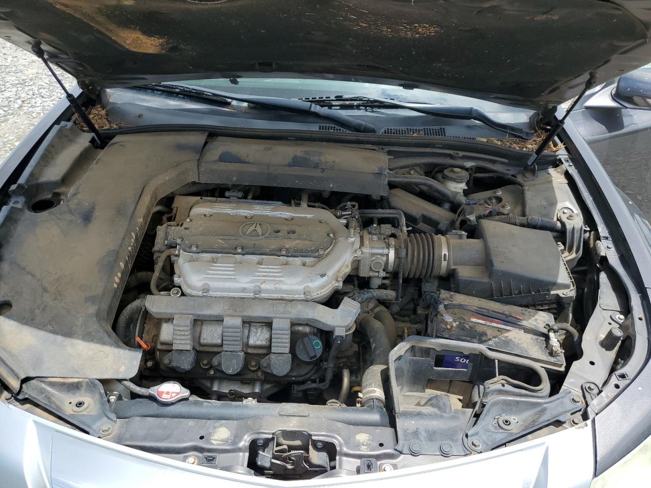 19UUA865X9A026517 2009 Acura Tl