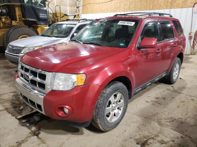 Vin: 1fmcu9eg4akc59409, lot: 64667654, ford escape limited 2010 img_1
