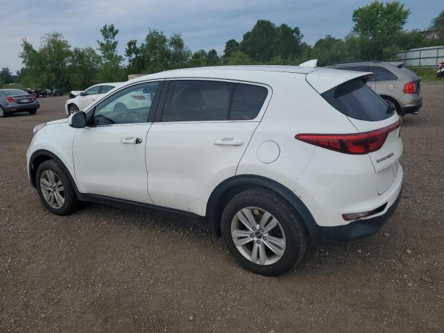2019 Kia Sportage Lx VIN: KNDPM3AC8K7532393 Lot: 59686384