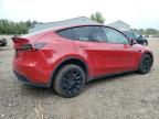 TESLA MODEL Y photo