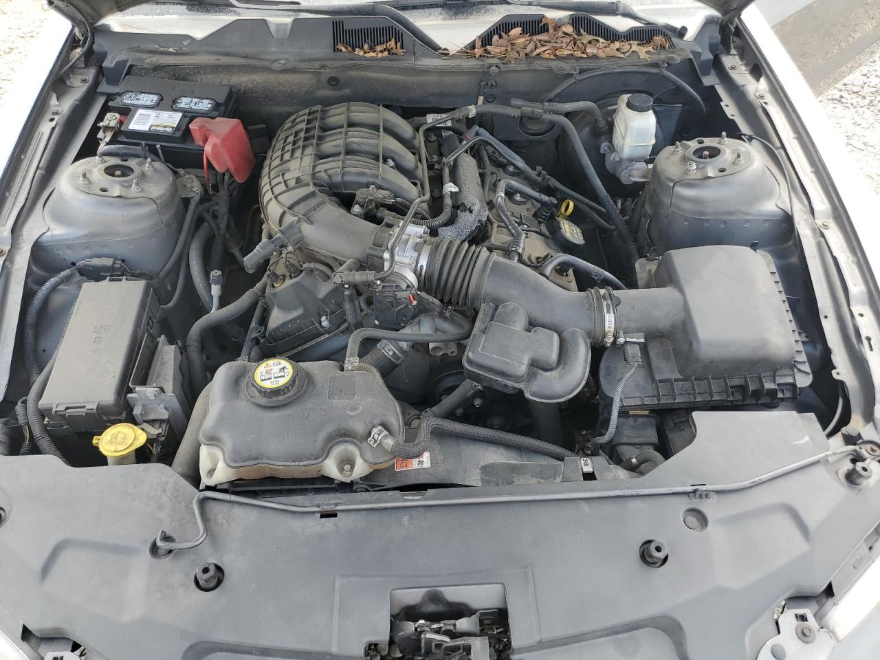 1ZVBP8AM7B5116528 2011 Ford Mustang