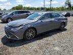 2024 LEXUS ES 350 BAS - 58ADZ1B12RU178117