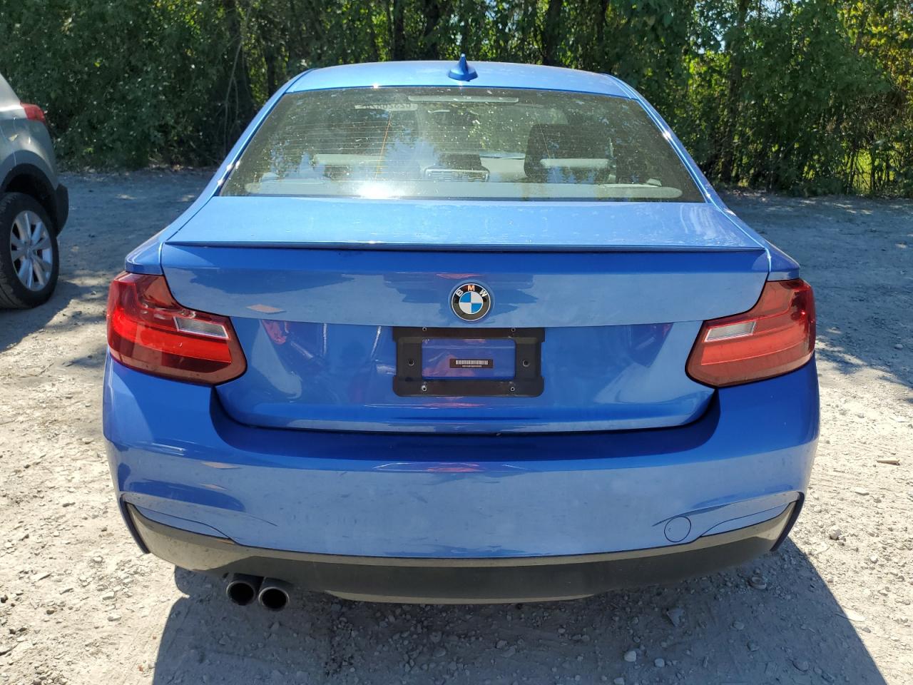 WBA1G9C58GV599400 2016 BMW 228 Xi Sulev