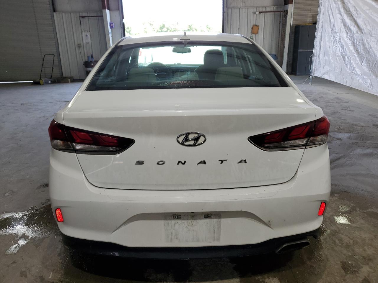 5NPE34AF2KH756653 2019 Hyundai Sonata Limited