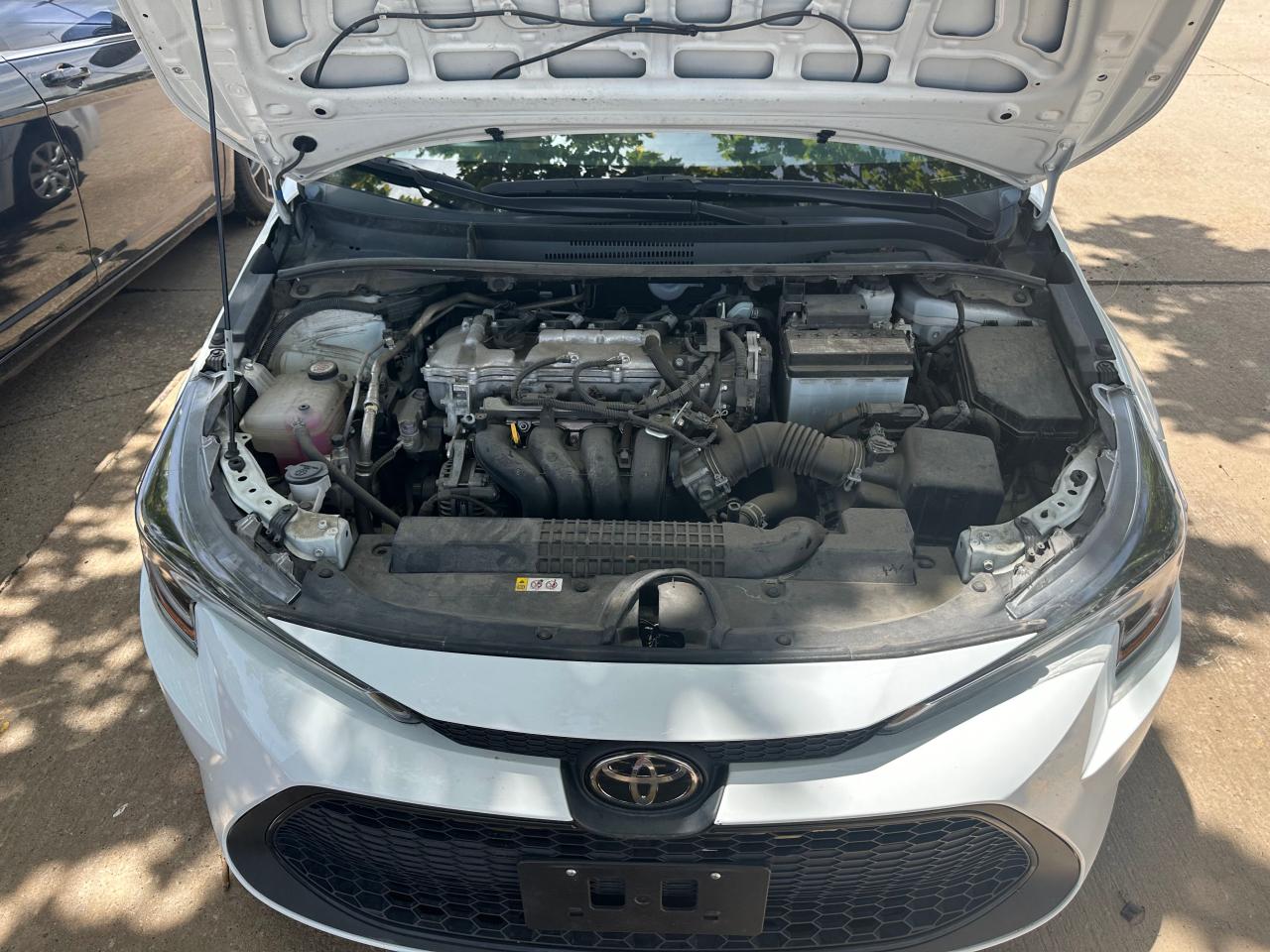 2021 Toyota Corolla Le vin: 5YFEPMAE9MP253087