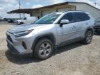 TOYOTA RAV4 XLE photo