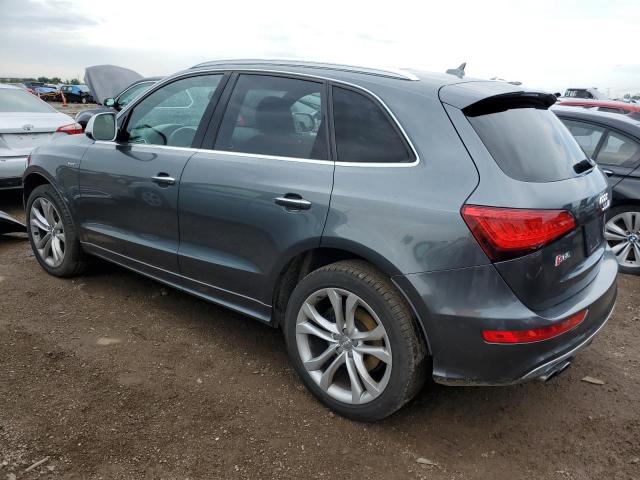 2016 Audi Sq5 Premium Plus VIN: WA1CCAFP5GA062345 Lot: 62569854