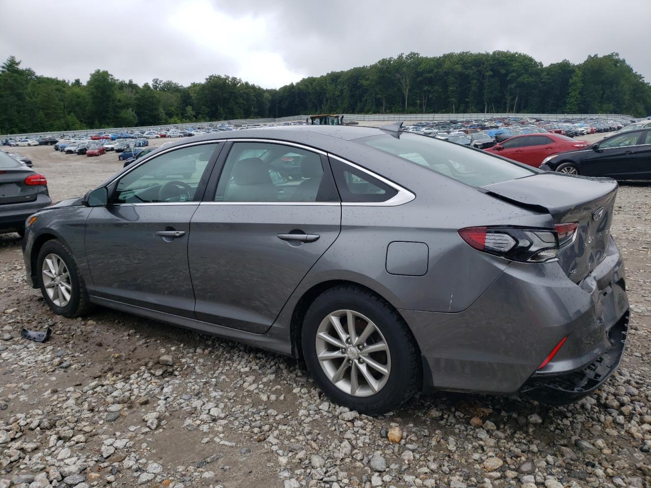 Lot #3024696638 2019 HYUNDAI SONATA SE