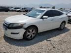 HONDA ACCORD CRO photo