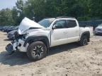 2019 TOYOTA TACOMA DOU - 5TFCZ5AN7KX172577