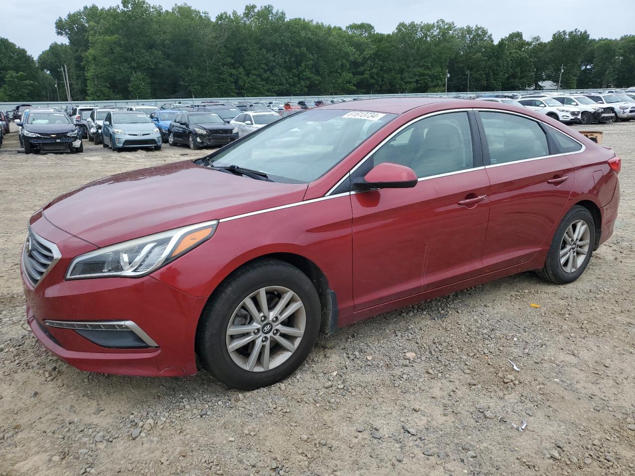 Lot #2952811796 2015 HYUNDAI SONATA SE