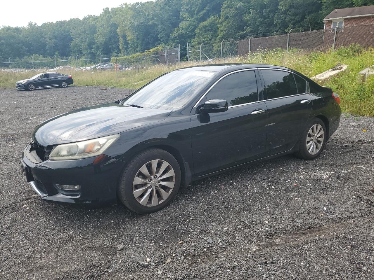 HONDA ACCORD EXL