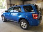 Lot #2703508378 2012 FORD ESCAPE XLT