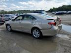 LEXUS ES 350 photo