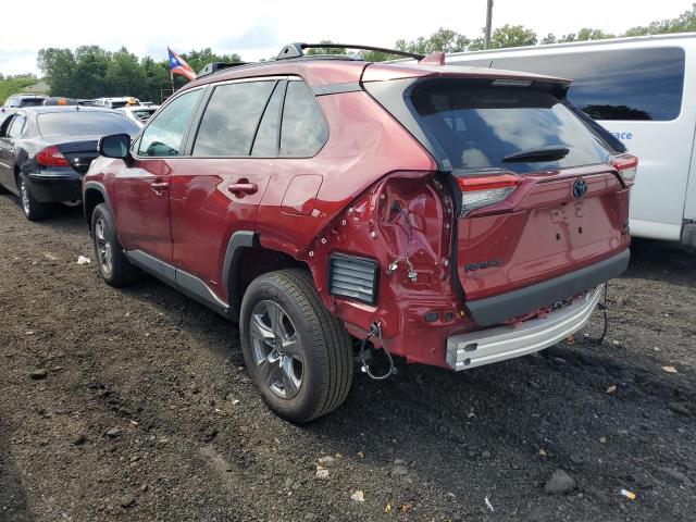 2023 TOYOTA RAV4 XLE - 4T3RWRFV9PU099047
