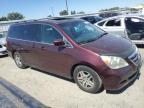 HONDA ODYSSEY EX photo