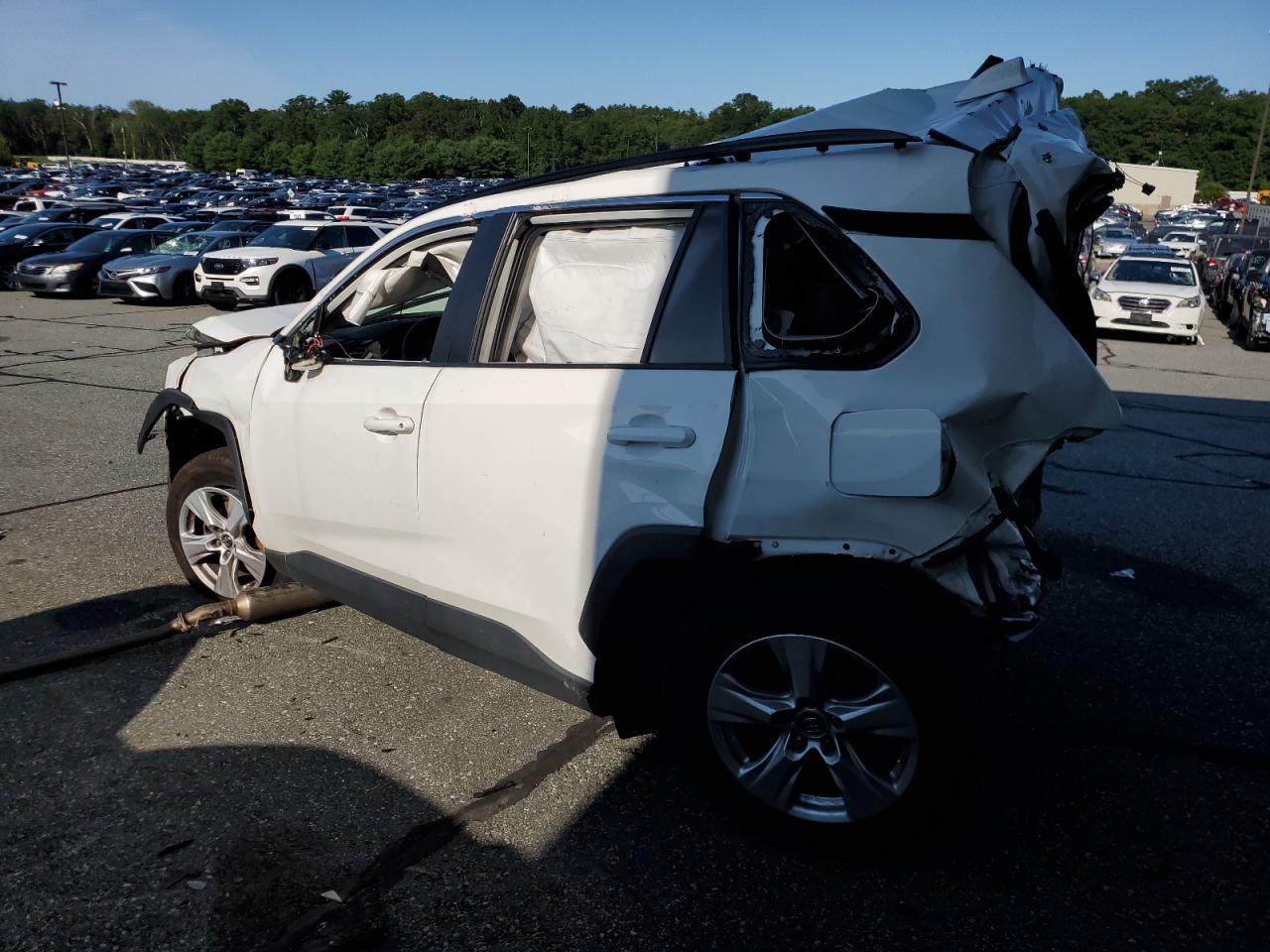 Lot #2819089179 2019 TOYOTA RAV4 XLE