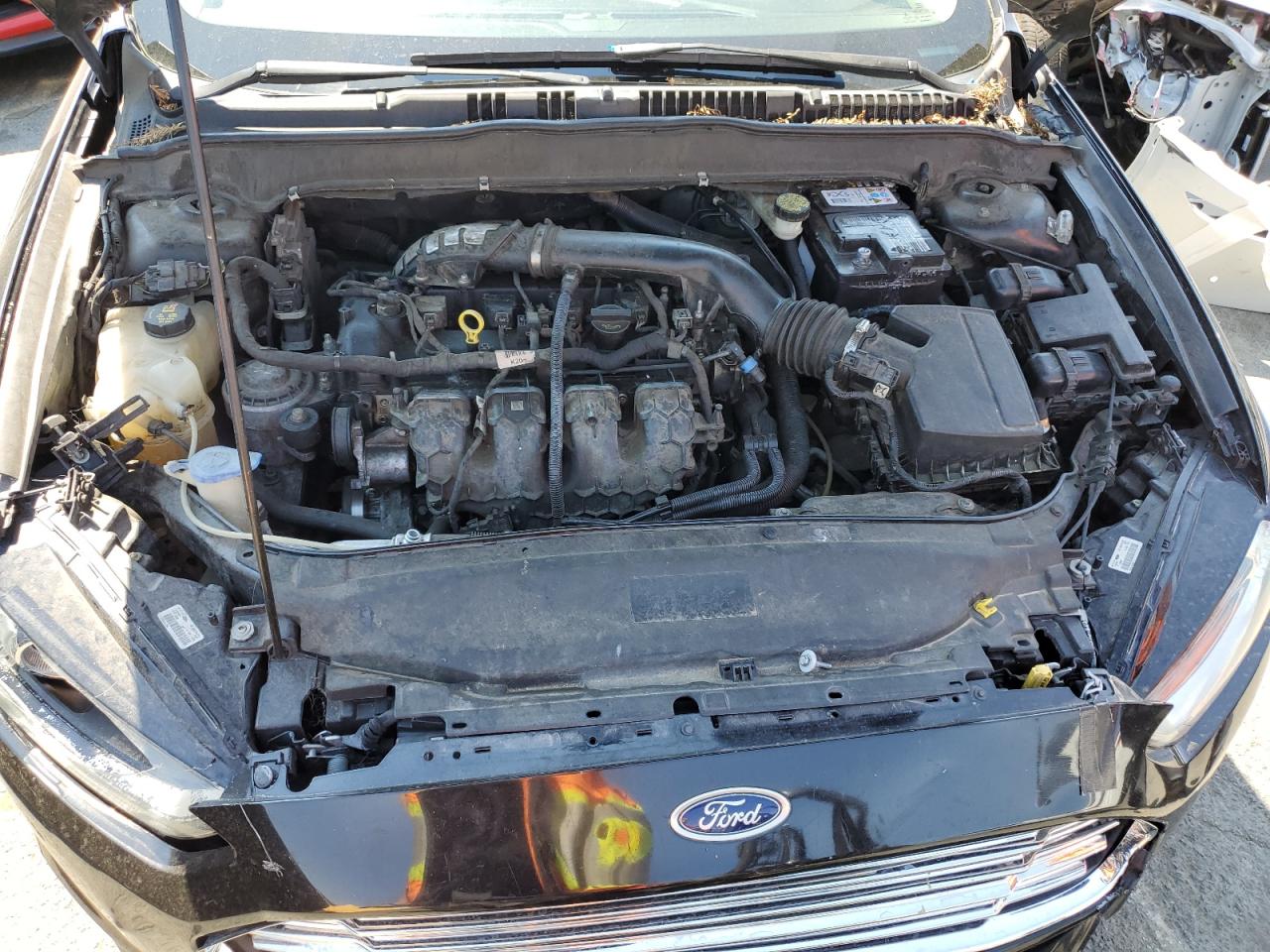 3FA6P0H93DR361159 2013 Ford Fusion Se