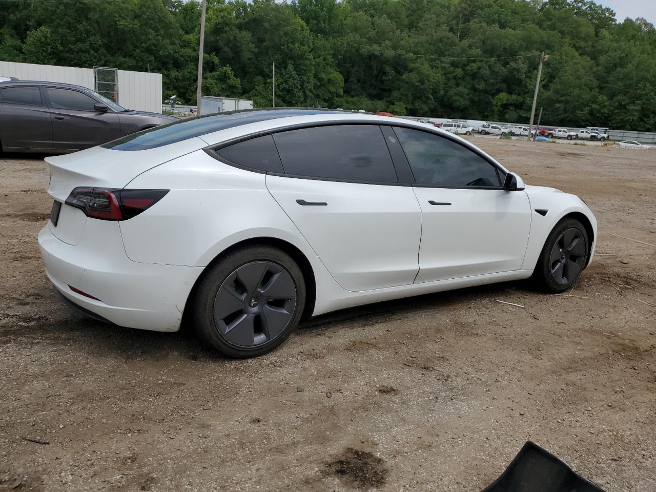 Lot #2902794215 2022 TESLA MODEL 3