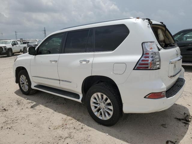 2019 LEXUS GX 460 - JTJBM7FX6K5216643