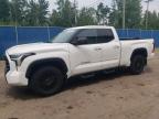 2023 TOYOTA TUNDRA DOU - 5TFLA5DA4PX056986
