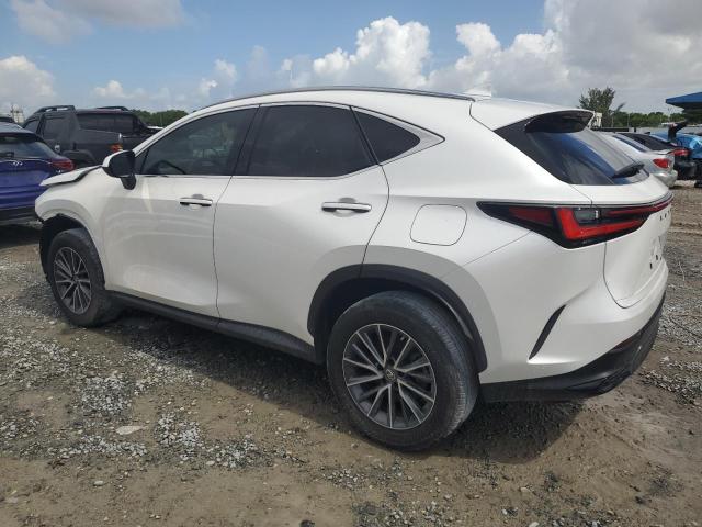 2023 LEXUS NX 250 JTJADCAZ3P2006300