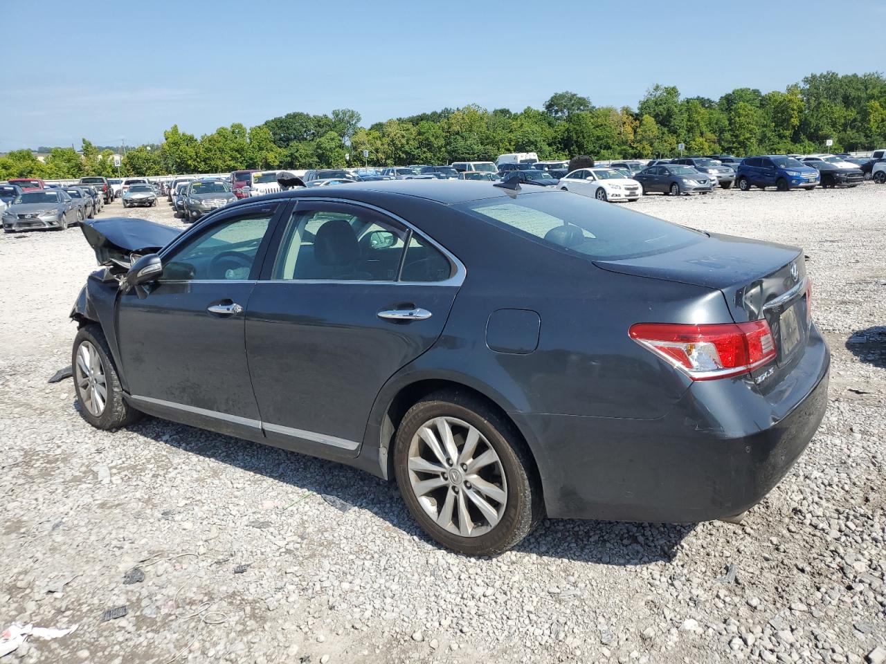 Lot #2771476287 2010 LEXUS ES 350