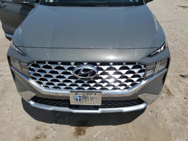 2022 Hyundai Santa Fe Sel VIN: 5NMS2DAJ5NH480416 Lot: 61730564