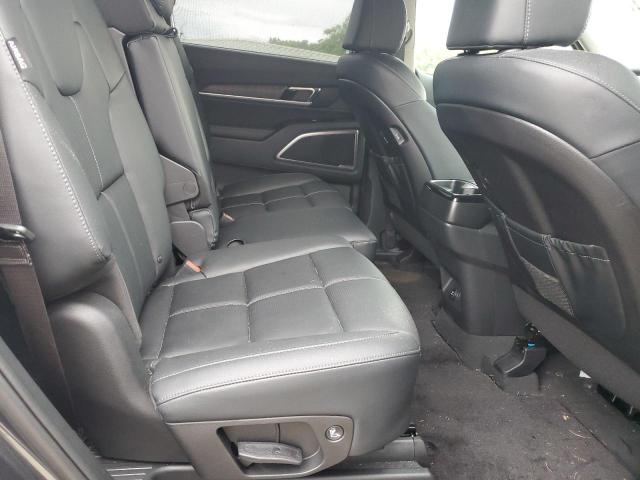 2024 Kia Telluride Ex VIN: 5XYP3DGC8RG507281 Lot: 62693134