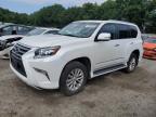 LEXUS GX 460 photo