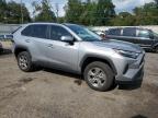 Lot #2945730671 2023 TOYOTA RAV4 XLE