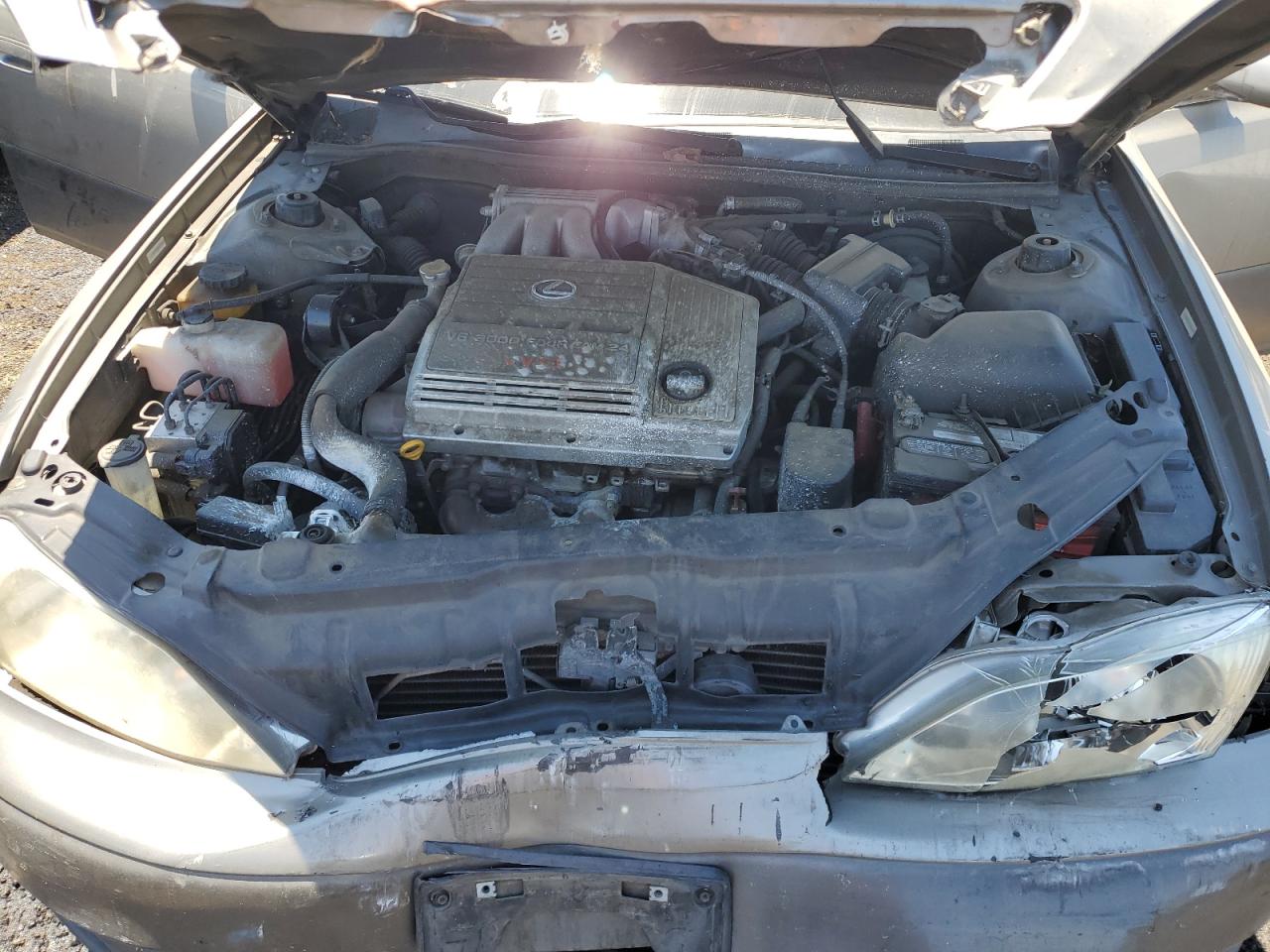 JT8BF28G1X0228814 1999 Lexus Es 300