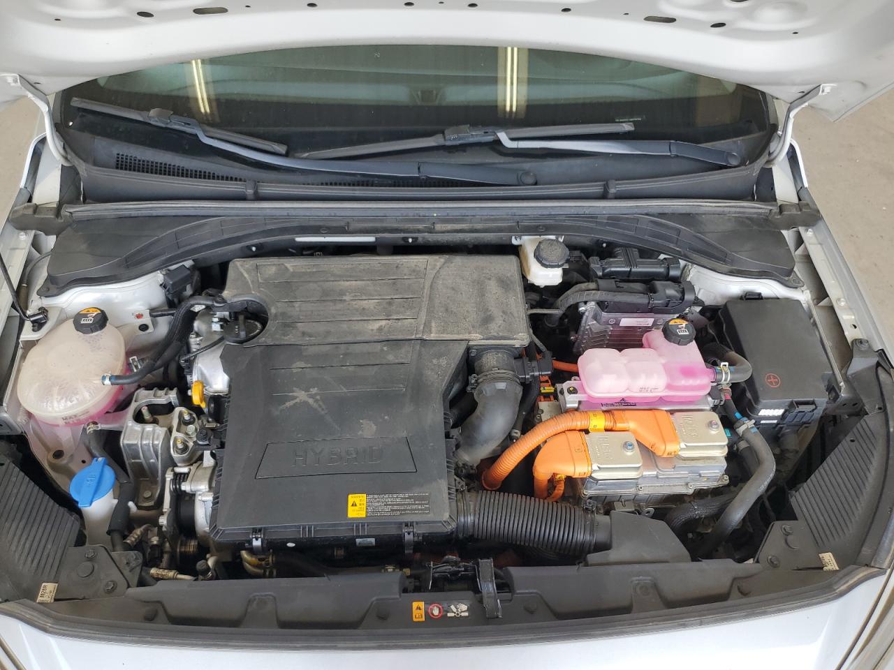 KMHC65LC4MU255758 2021 Hyundai Ioniq Blue