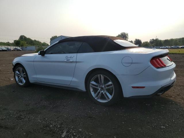 2021 FORD MUSTANG - 1FATP8UH5M5143371
