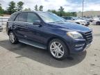 MERCEDES-BENZ ML 350 BLU photo