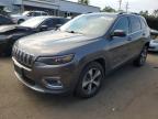 2019 JEEP CHEROKEE L - 1C4PJMDN2KD133931