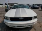 FORD MUSTANG photo