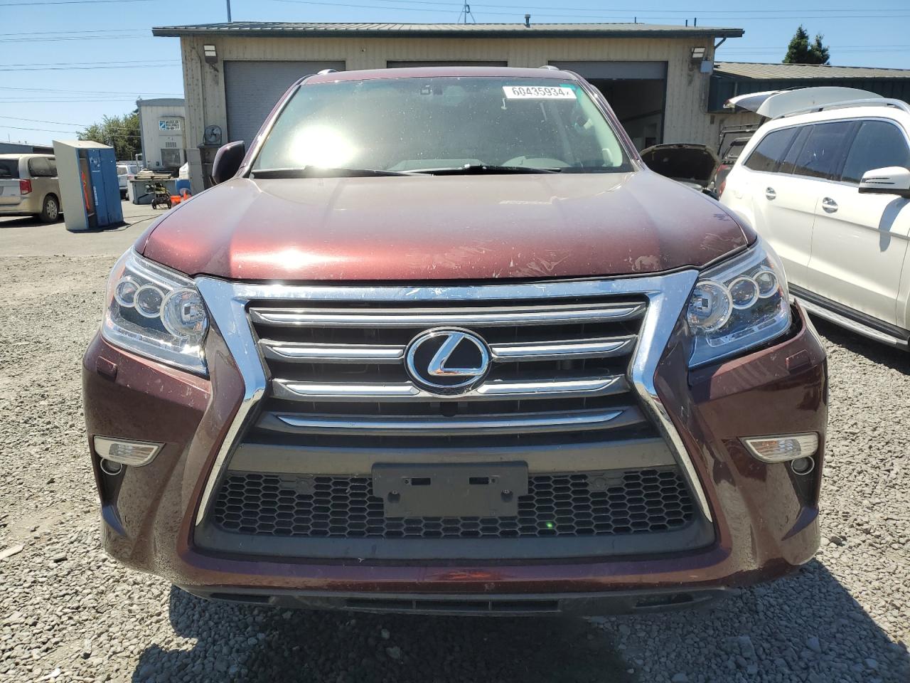 Lot #2892878371 2014 LEXUS GX 460 PRE