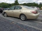 LEXUS ES 300 photo