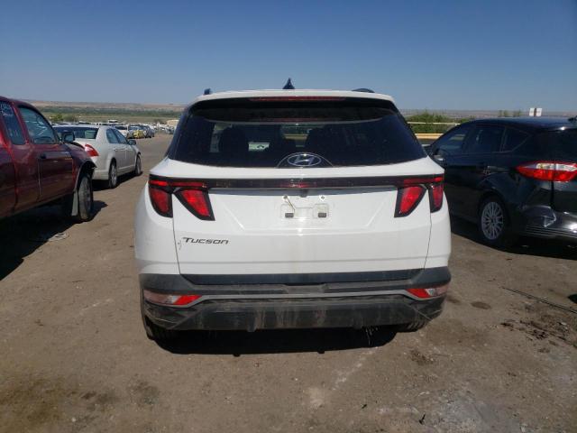 2024 HYUNDAI TUCSON SEL - 5NMJB3DE6RH373630