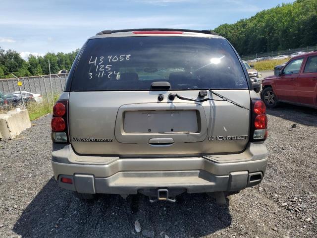 2002 Chevrolet Trailblazer VIN: 1GNDT13S722438766 Lot: 61035284