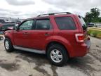 FORD ESCAPE XLT photo