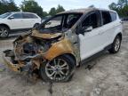 2019 FORD ESCAPE SE - 1FMCU0GD8KUB67336