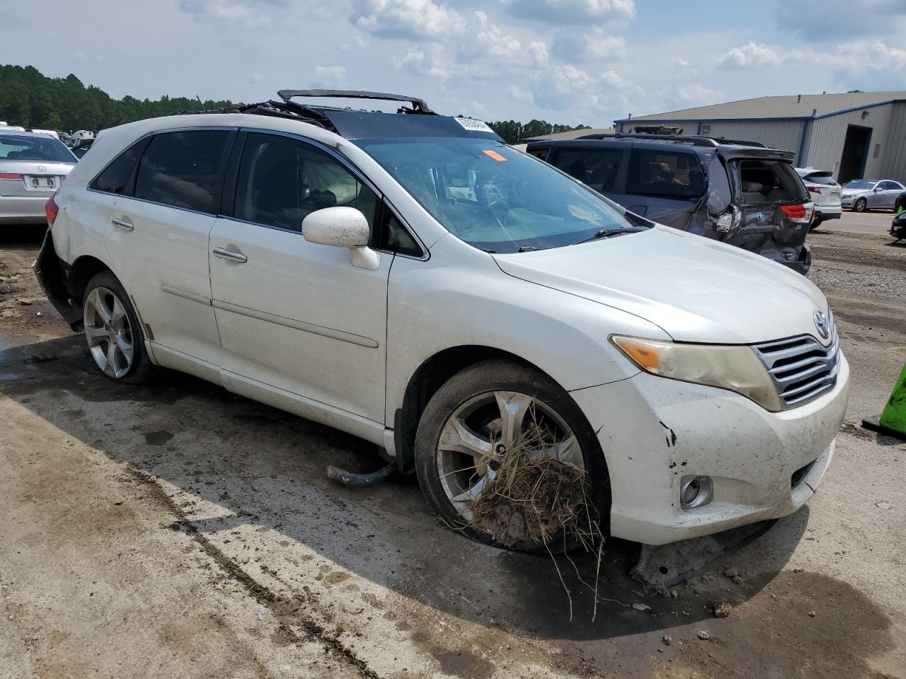 Lot #3024173835 2009 TOYOTA VENZA