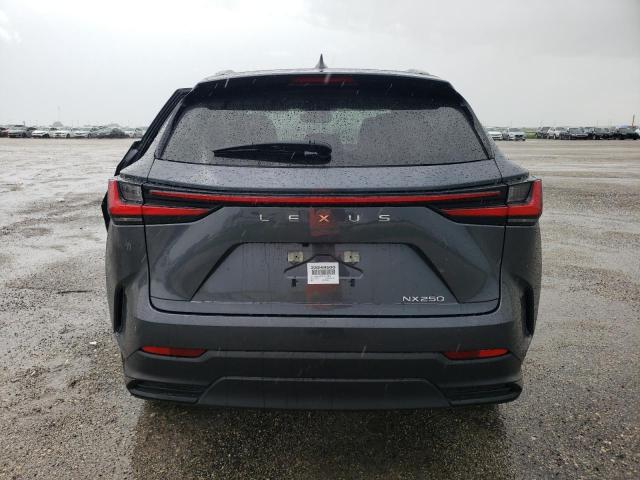 2023 LEXUS NX 250 JTJADCAZ7P5012874