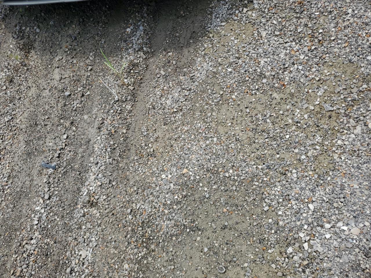 1FMJU1G56BEF57559 2011 Ford Expedition Xl