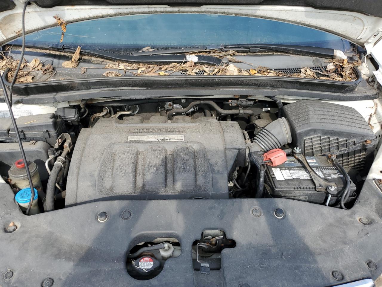 5FNRL38745B091994 2005 Honda Odyssey Exl