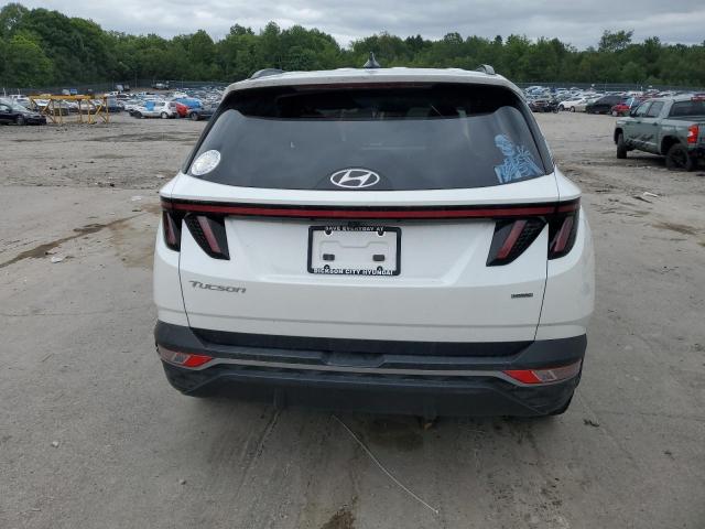2022 Hyundai Tucson Sel VIN: 5NMJBCAE1NH054358 Lot: 61857804